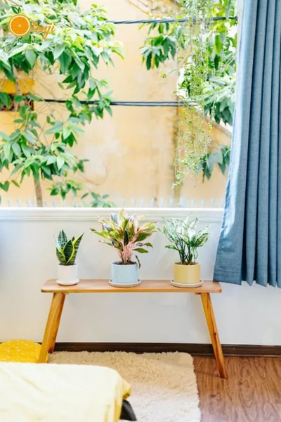キングルーム — Olenji Homestay