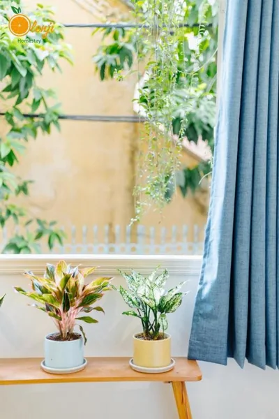 Olenji Homestay – 写真 12