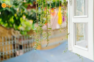 Olenji Homestay – 写真 16